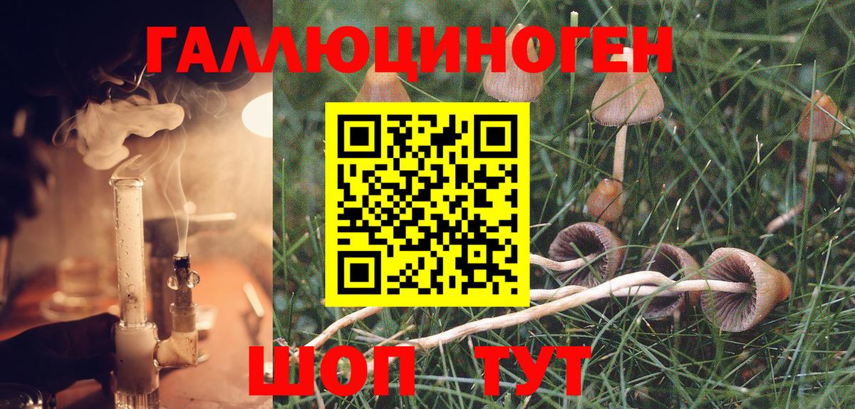 как найти   Вход с VPN  Красноуфимск  Псилоцибиновые грибы Psilocybine cubensis 