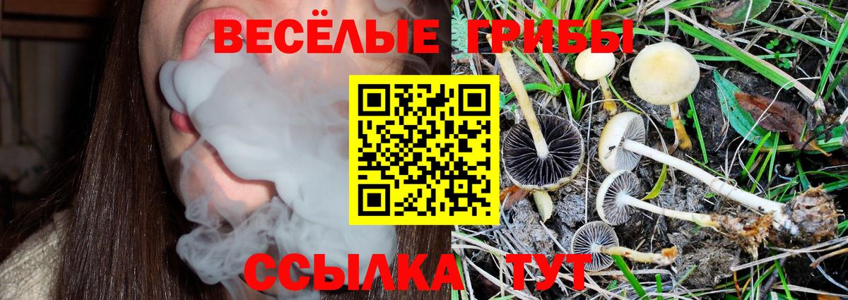 Галлюциногенные грибы MAGIC MUSHROOMS Красноуфимск